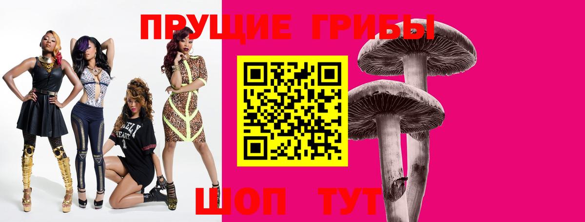 Галлюциногенные грибы мицелий Чехов
